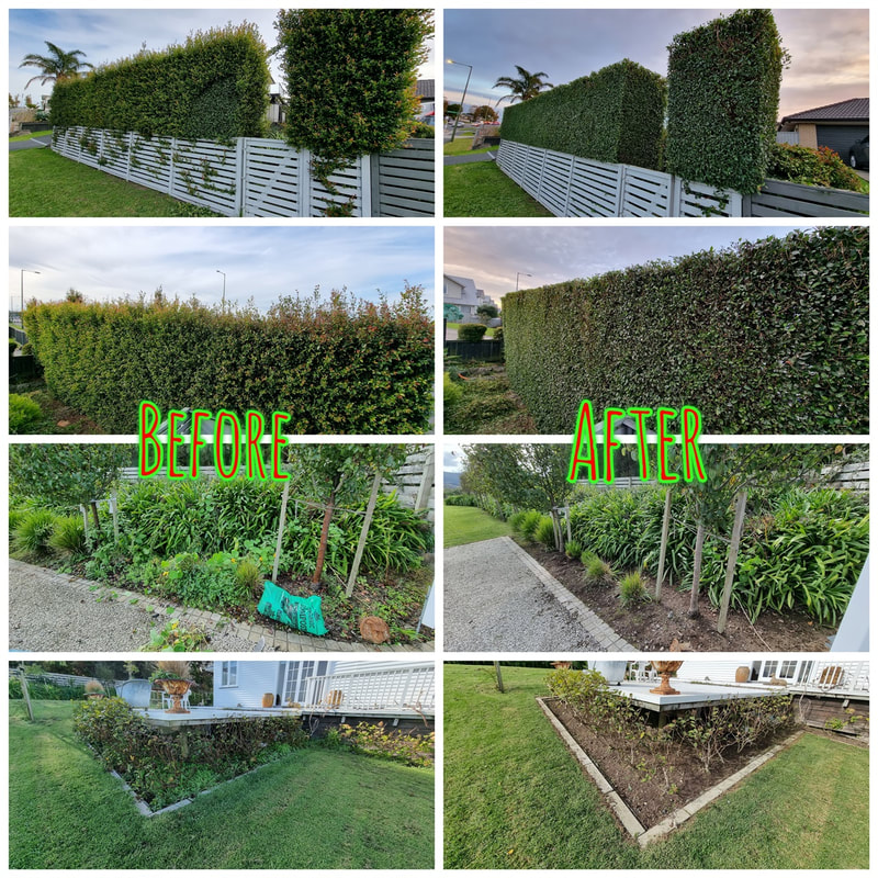 Lawn and garden work by Essential Lawn & Garden Keeper