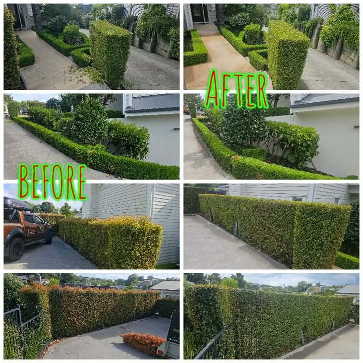 Garden maintenance by Essential Lawn & Garden Keeper